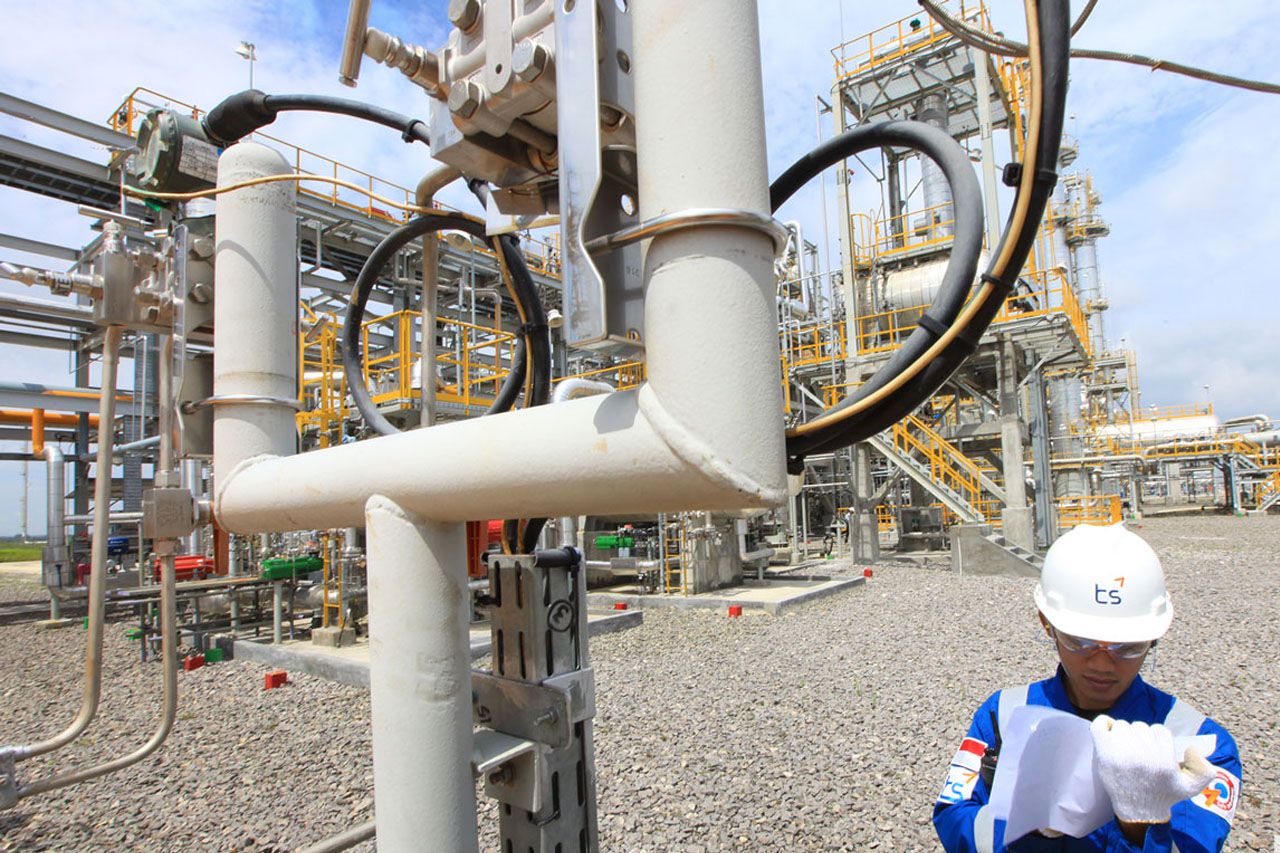 Odoo - Sample 1 for three columns