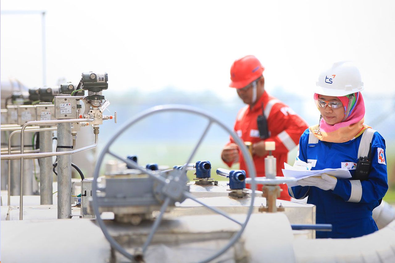 Odoo - Sample 2 for three columns